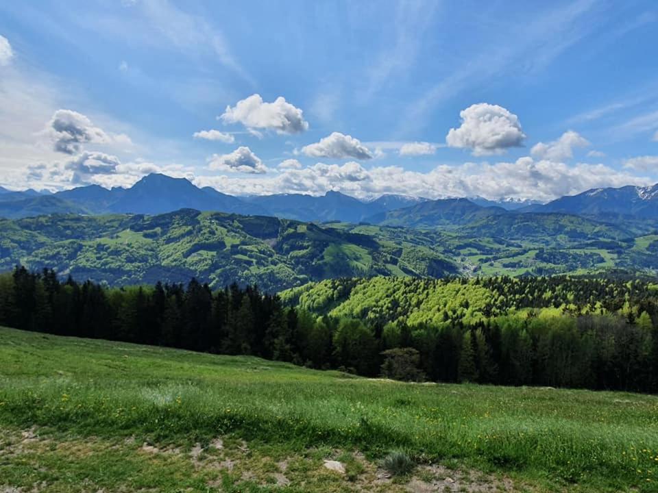 Holzhaus "Zum Schwarz'N" Apartment Aurach am Hongar ภายนอก รูปภาพ