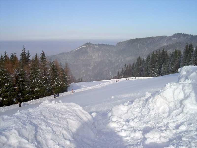 Holzhaus "Zum Schwarz'N" Apartment Aurach am Hongar ภายนอก รูปภาพ