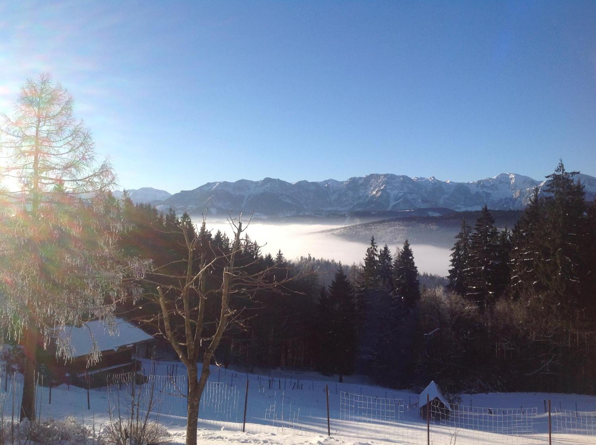 Holzhaus "Zum Schwarz'N" Apartment Aurach am Hongar ภายนอก รูปภาพ