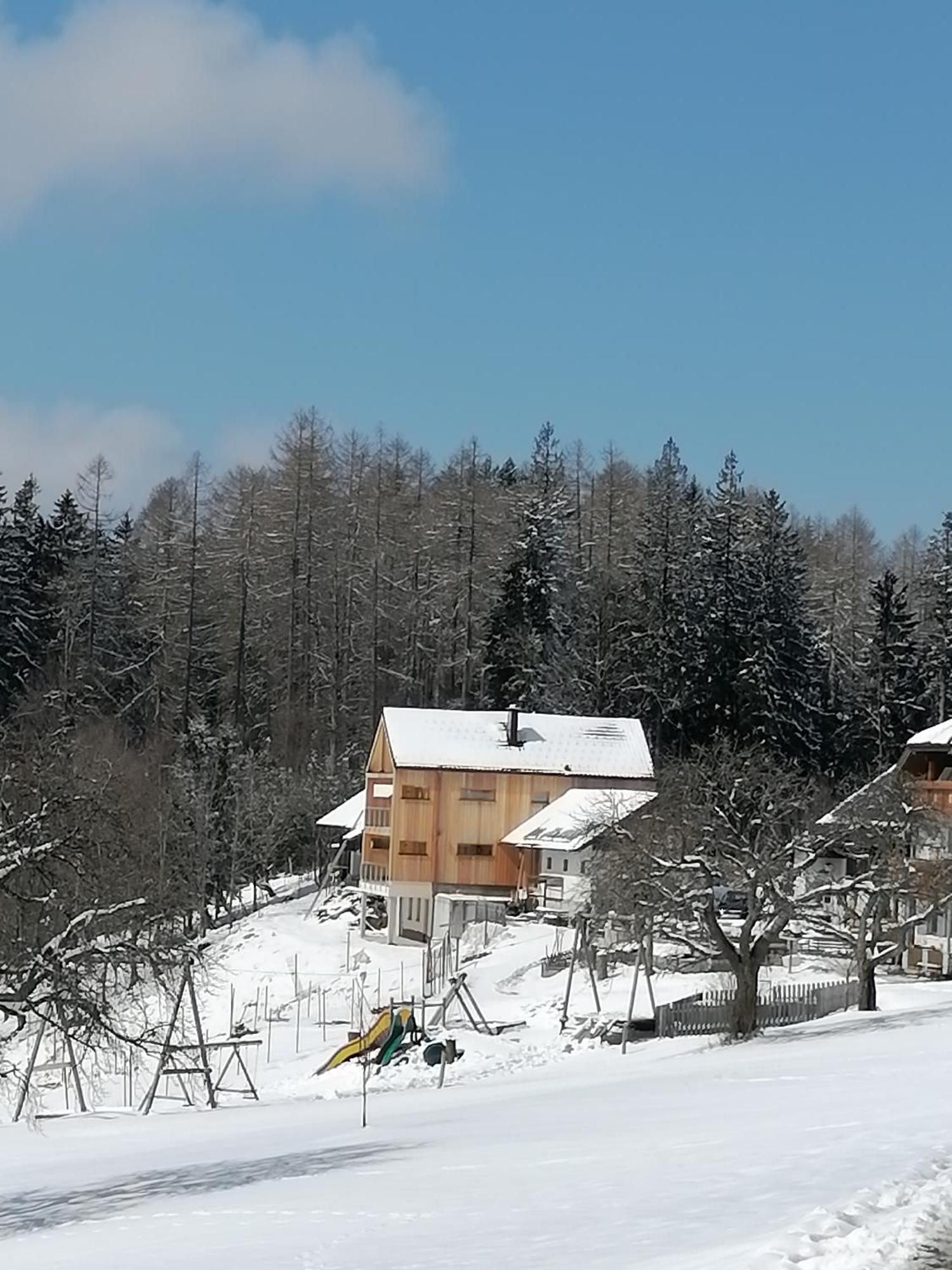 Holzhaus "Zum Schwarz'N" Apartment Aurach am Hongar ภายนอก รูปภาพ