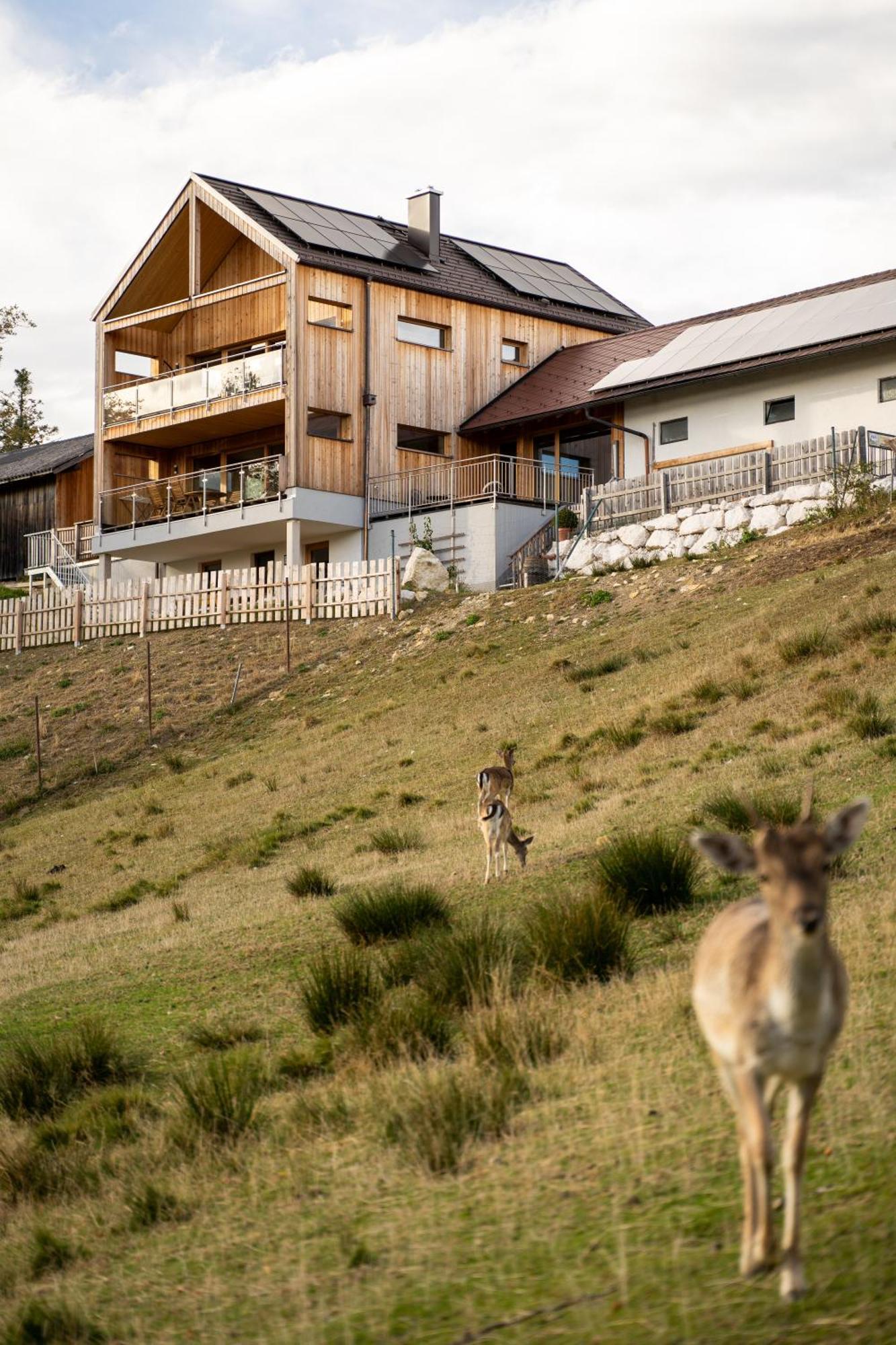 Holzhaus "Zum Schwarz'N" Apartment Aurach am Hongar ภายนอก รูปภาพ